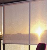 screen